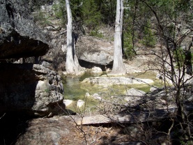 2010-03-12-Hamilton Pool-01.jpg